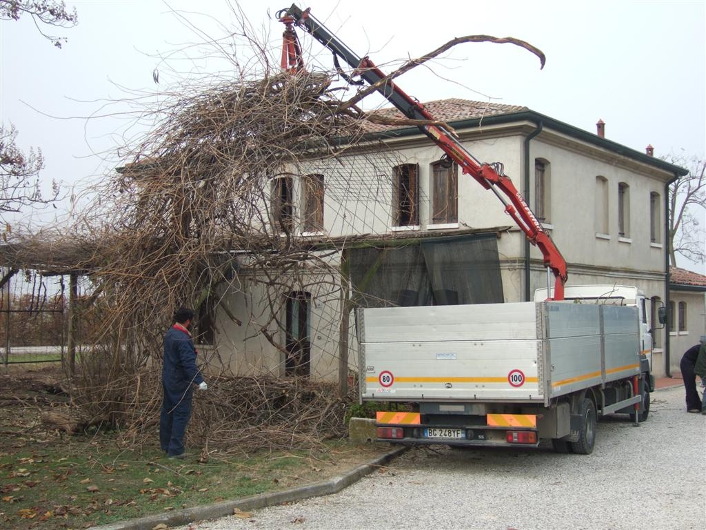 Servizio Carico Rifiuti Vegetali