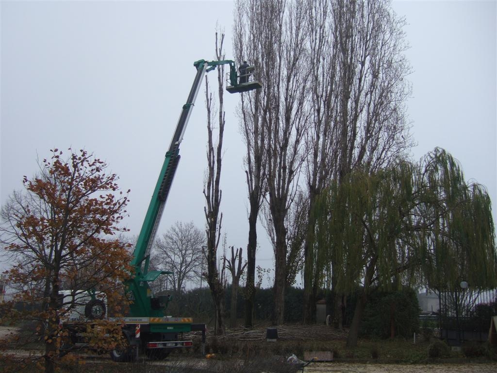 Potatura Piante oltre 20 Metri